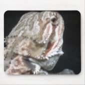 Shy Dragon Mousepad (Vorne)