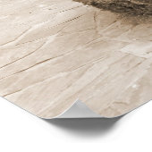 Shy Girl in den Rose Poster (Ecke)