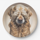 Shy Golden Retriever Pappteller (Vorderseite)