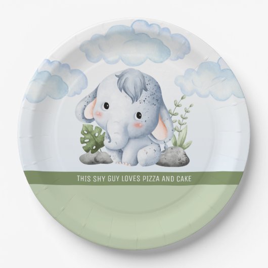 Shy Guy Birthday Paper Plate Pappteller (Vorderseite)