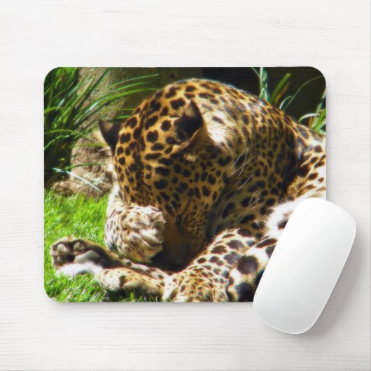 Shy Leopard Mousepad (Mit Mouse)