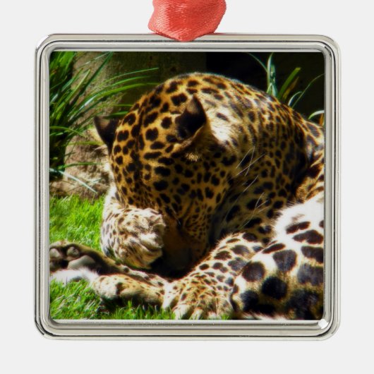 Shy Leopard Ornament Aus Metall (Vorne)