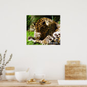 Shy Leopard Poster (Küche)