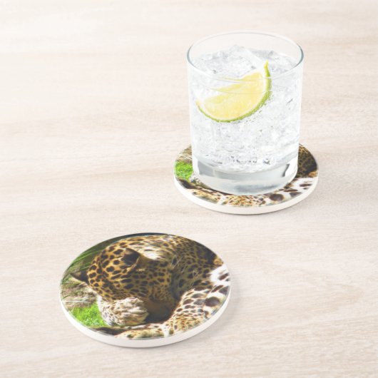 Shy Leopard Untersetzer (Seite)