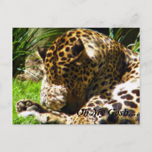 Shy Leopard vergesst mich nicht Postkarte