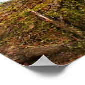 "Shy Little Vixen" Poster (Ecke)