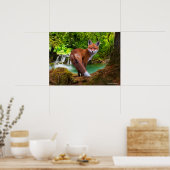 "Shy Little Vixen" Poster (Küche)