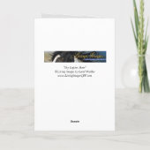 Shy Lupine Mare Horse Grußkarte Karte (Rückseite)