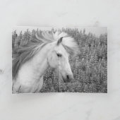 Shy Lupine Mare Horse Grußkarte Karte (Innenseite)