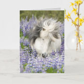 Shy Lupine Mare Horse Grußkarte Karte (Gelbe Blume)
