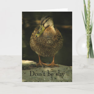 Shy Mallard Valentine's Day Card Feiertagskarte