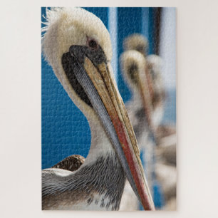 Shy pelican am Strand Puzzle
