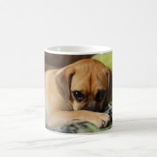 Shy Puggle Tasse