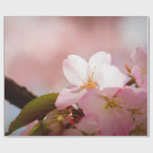 Shy Sakura Blume Shelter selbst hinter Blüten Geschenkpapier (Flach)