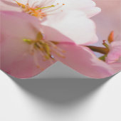 Shy Sakura Blume Shelter selbst hinter Blüten Geschenkpapier (Ecke)