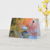 Shy Swan Karte (Gelbe Blume)