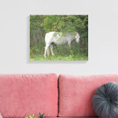 Shy White Horse Canvas Print Leinwanddruck (Insitu (Wohnzimmer))