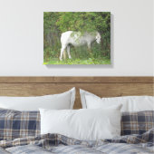 Shy White Horse Canvas Print Leinwanddruck (Insitu (Schlafzimmer))