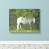 Shy White Horse Canvas Print Leinwanddruck (Insitu (Holzboden))
