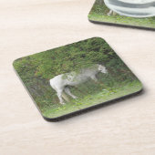 Shy White Horse Cork Untersetzer (Linke Seite)