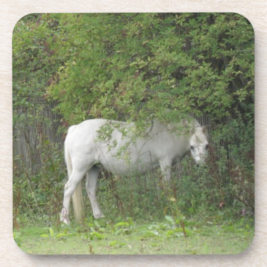 Shy White Horse Cork Untersetzer (Vorderseite)
