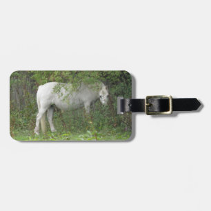 Shy White Horse Custom Luggage Tag Gepäckanhänger