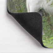 Shy White Horse Mousepad (Ecke)