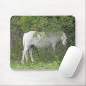 Shy White Horse Mousepad (Mit Mouse)