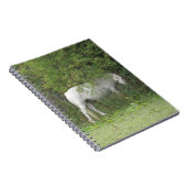 Shy White Horse Notebook Notizblock (Rechte Seite)
