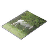 Shy White Horse Notebook Notizblock (Linke Seite)