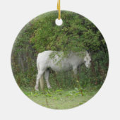 Shy White Horse Ornament (Hinten)