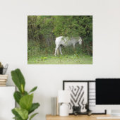Shy White Horse Poster (Heimbüro)