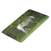 Shy White Horse Premium Magnet (Linke Seite)