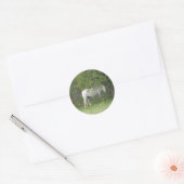 Shy White Horse Sticker (Umschlag)