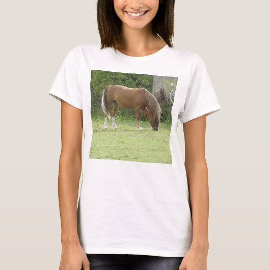 Shy White Horse T Shirt (Vorderseite)