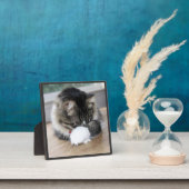 Shy Zorro Kitty Foto Plaque Fotoplatte (InSitu)