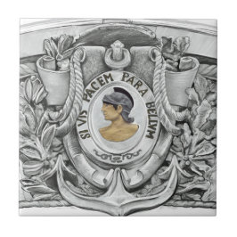 SI VIS PACEM PARA BELLUM FLIESE