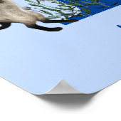 Siam Cat Butterfly Monogram, initial to your name Poster (Ecke)