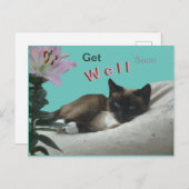 Siam Cat Nah Up bald wieder gut Postkarte (Vorne/Hinten)