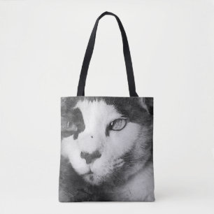 Siam, Katze, Haustier Tasche