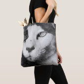 Siam, Katze, Haustier Tasche (Von Nahem)