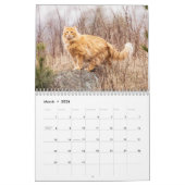 Siam Kitty Cat Niedlich 2021 Kalender (Mär 2026)
