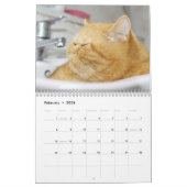 Siam Kitty Cat Niedlich 2021 Kalender (Feb 2026)