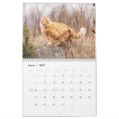 Siam Kitty Cat Niedlich 2021 Kalender (Mär 2027)