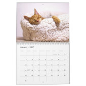 Siam Kitty Cat Niedlich 2021 Kalender (Jan 2027)