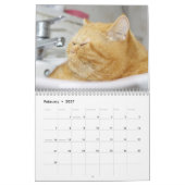 Siam Kitty Cat Niedlich 2021 Kalender (Feb 2027)