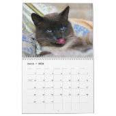 Siam Kitty Cat Niedlich 2021 Kalender (Mär 2026)