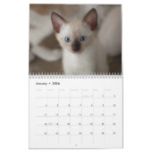 Siam Kitty Cat Niedlich 2021 Kalender (Jan 2026)