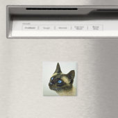 Siam (Kopfstudie) Magnet (In Situ (Geschirrspüler))