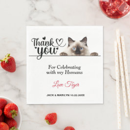 Siam Peeking Cat Paper Napkins Serviette